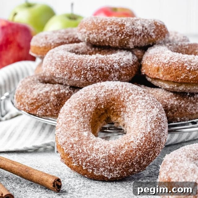 Freshly baked apple cider donuts topped with cinnamon sugar