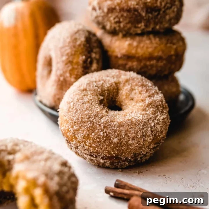 Enjoy these baked pumpkin donuts for breakfast