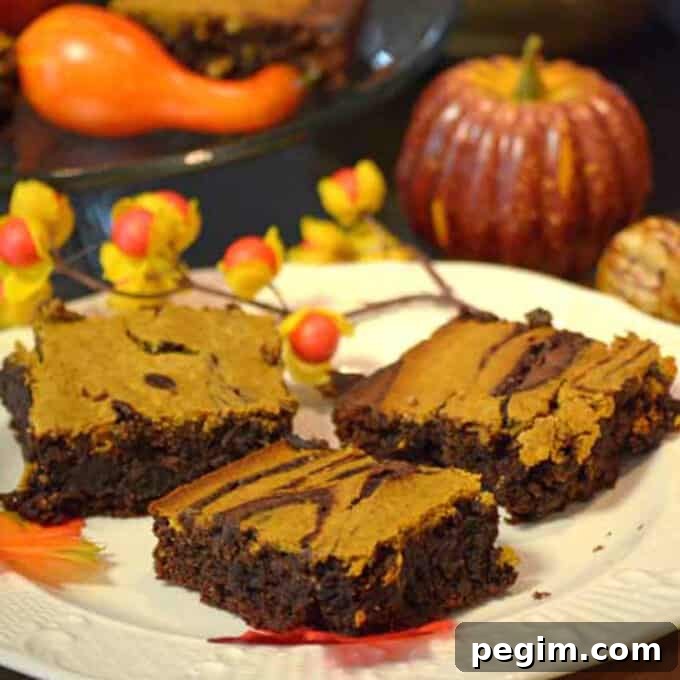 Pumpkin Cheesecake Brownies Recipe — Gooey Fall Dessert 2 A plate of brownies with a pumpkin in the background.