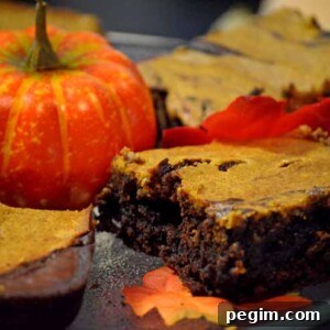 Pumpkin Cheesecake Brownies Recipe — Gooey Fall Dessert 6 A close-up of a brownie.