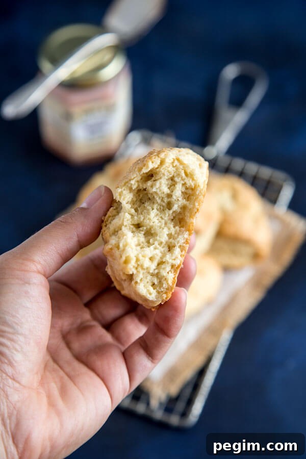 Basic Cream Scones texture