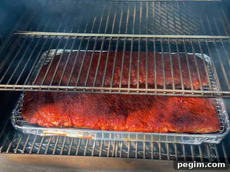 Ribs on smoker grate