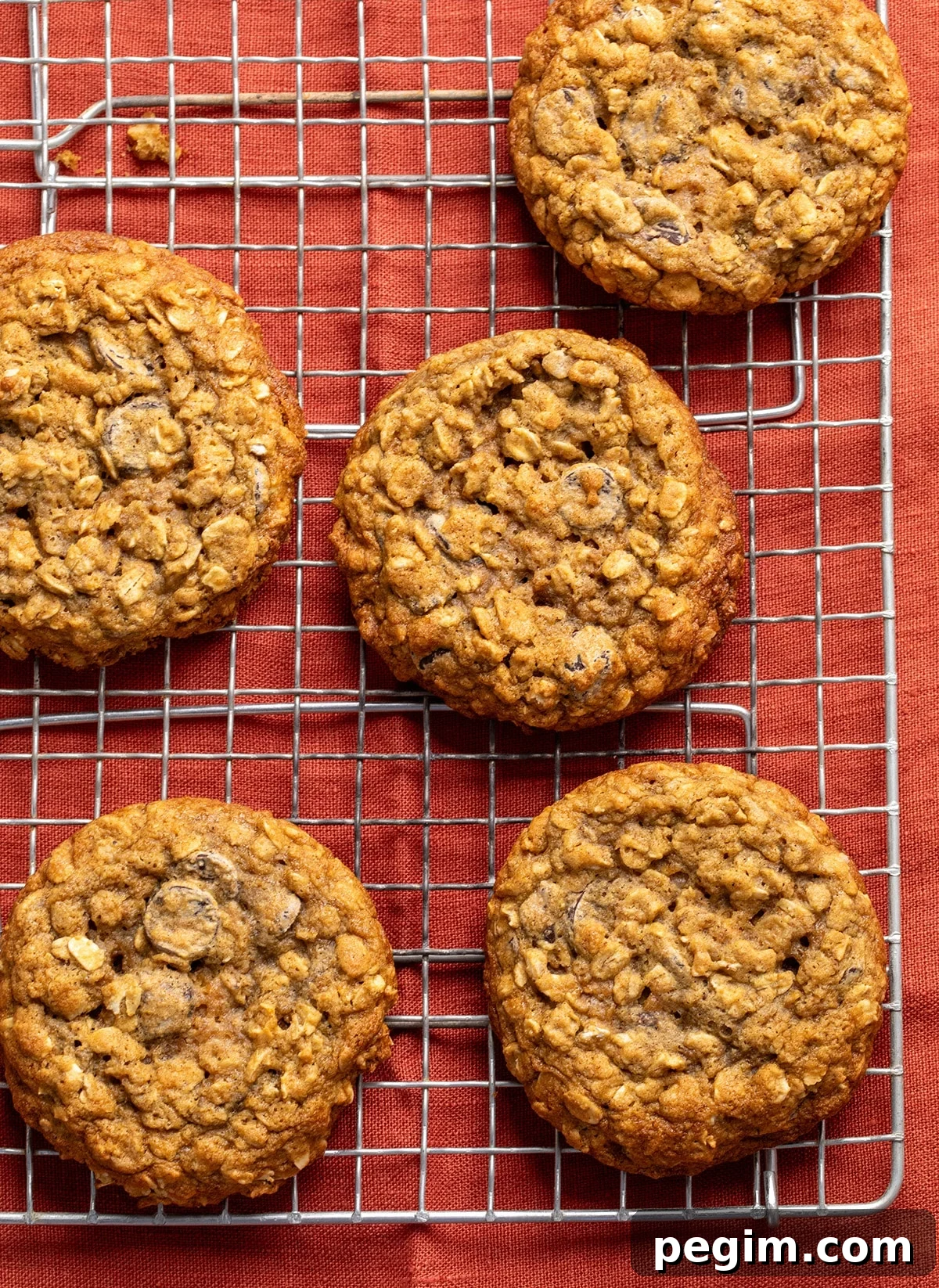 Five round oatmeal cookies resting on a metal cooling rack placed over an orange fabric surface.