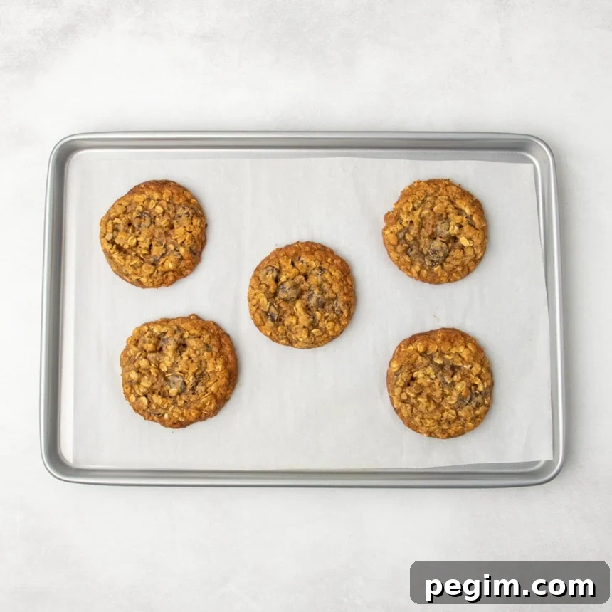 The same parchment-lined metal baking sheet, now with five rust-colored baked pumpkin oatmeal cookies arranged evenly across the surface.