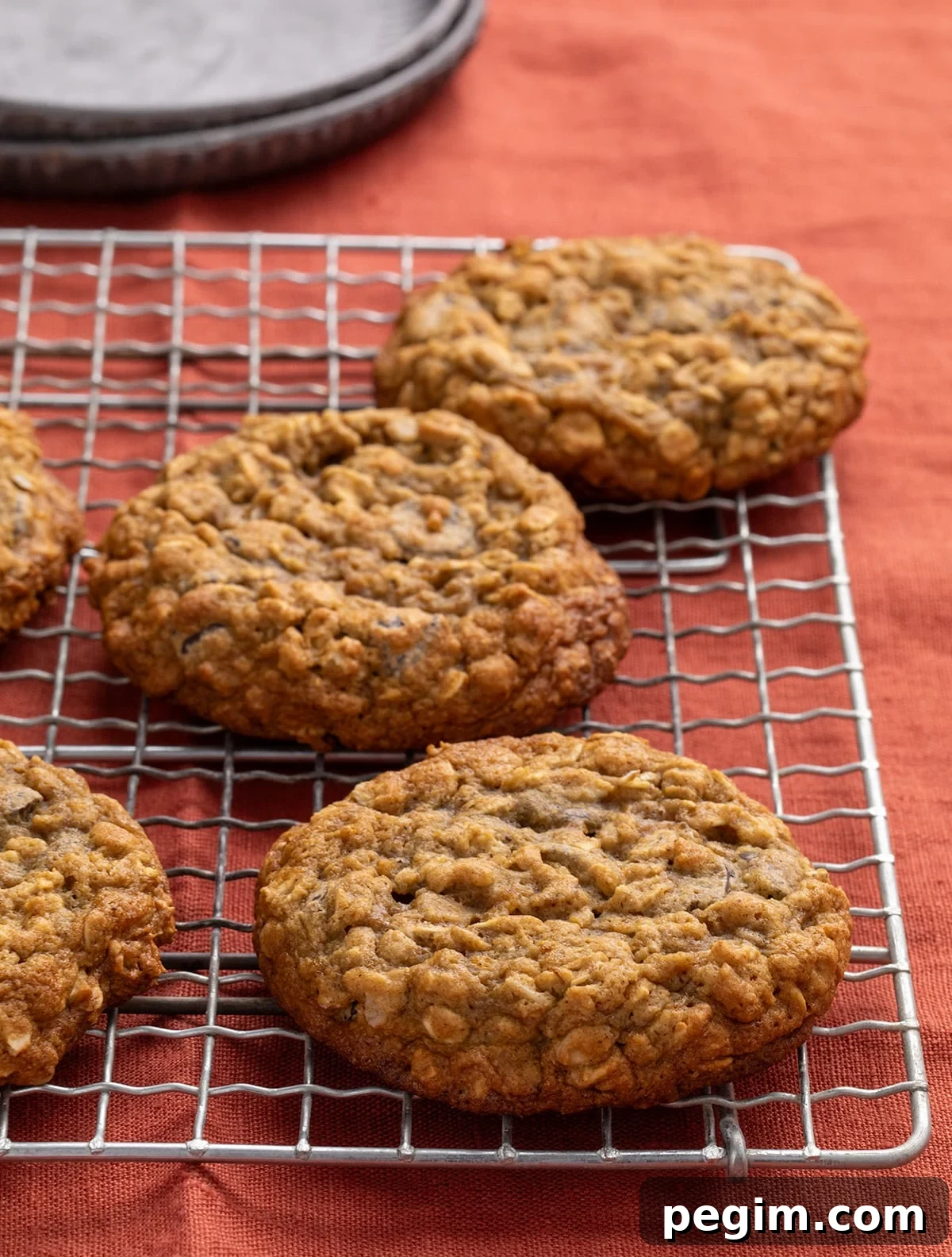 Five oatmeal cookies on a metal cooling rack, only 3 completely visible in the frame, with stacked gray plates in the background, all on an orange fabric surface.