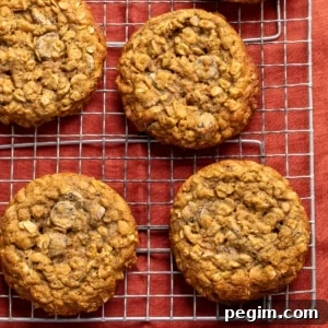 closeup of 4 round brown cookies on a wire rack on a red cloth