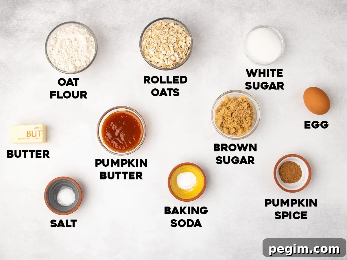 Labeled ingredients arranged on a light gray surface, including oat flour, rolled oats, white sugar, brown sugar, butter, pumpkin butter, salt, baking soda, and pumpkin spice.