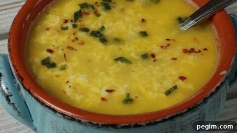 Egg Drop Soup closeup shot