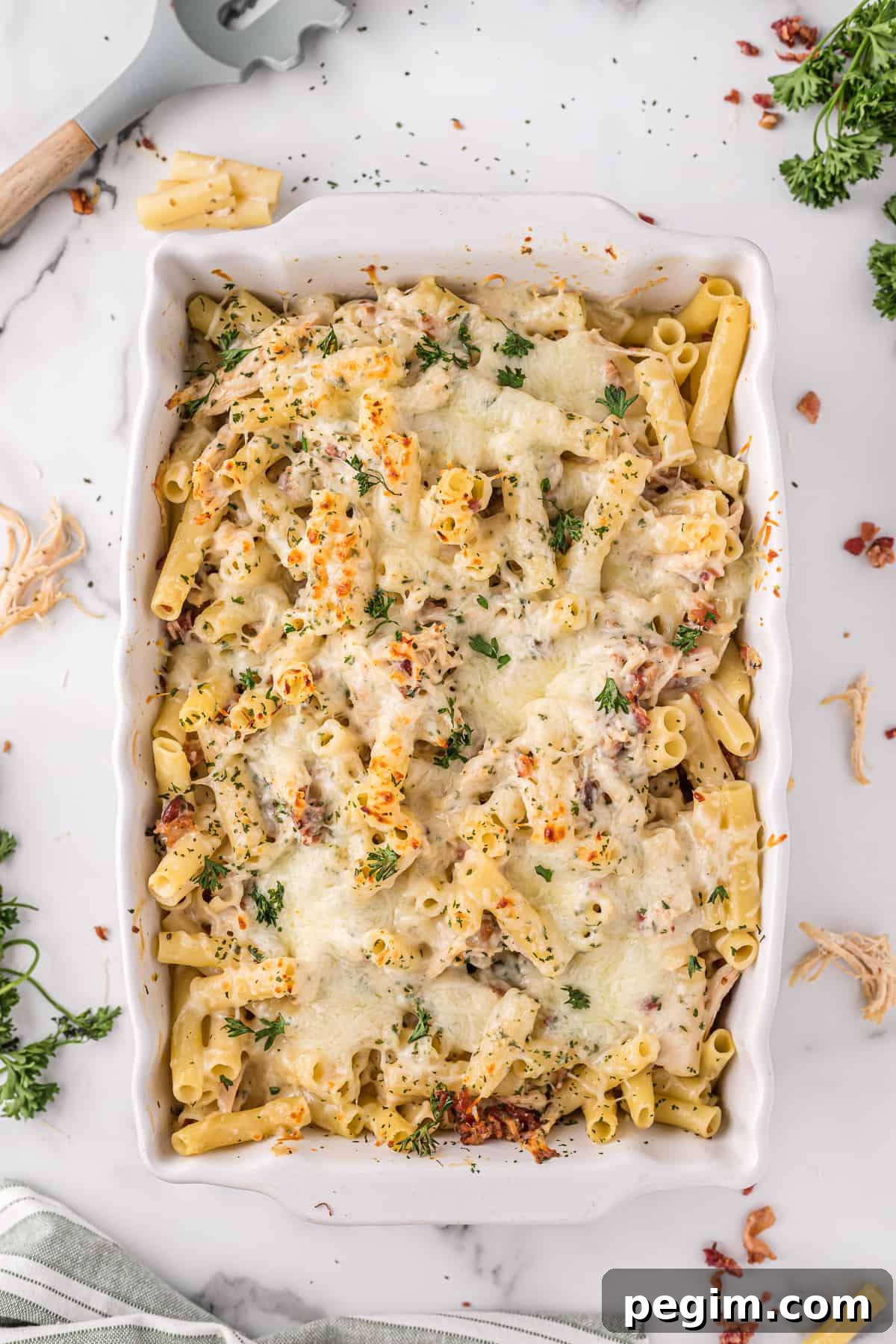 Chicken alfredo pasta bake with bacon and parsley on top, in a 9 x 13 casserole dish