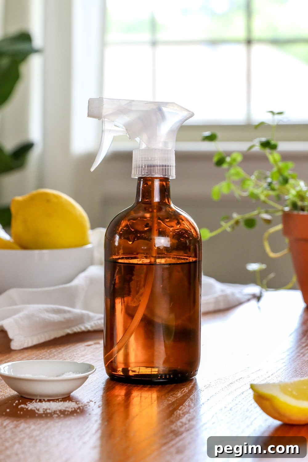 How to get rid of ants naturally