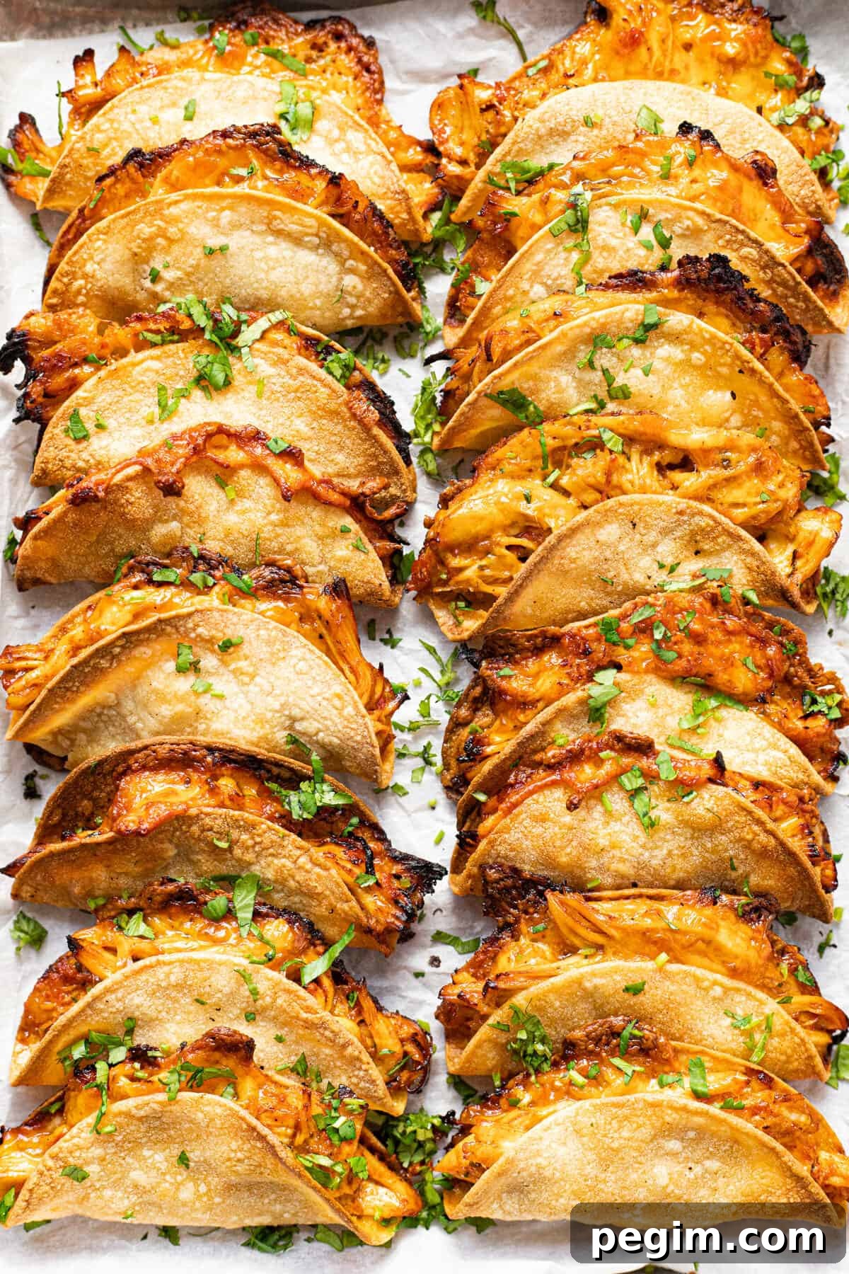 Two rows of many mini baked chicken tacos garnished with cilantro.