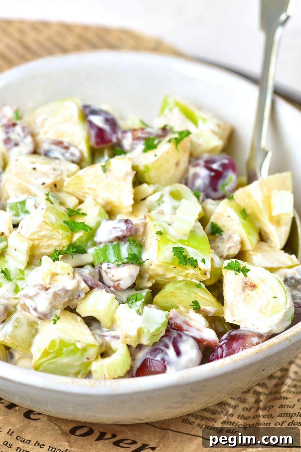 A bowl of salad with grapes, chicken and celery