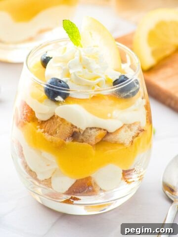 Up close view of a lemon dessert cup
