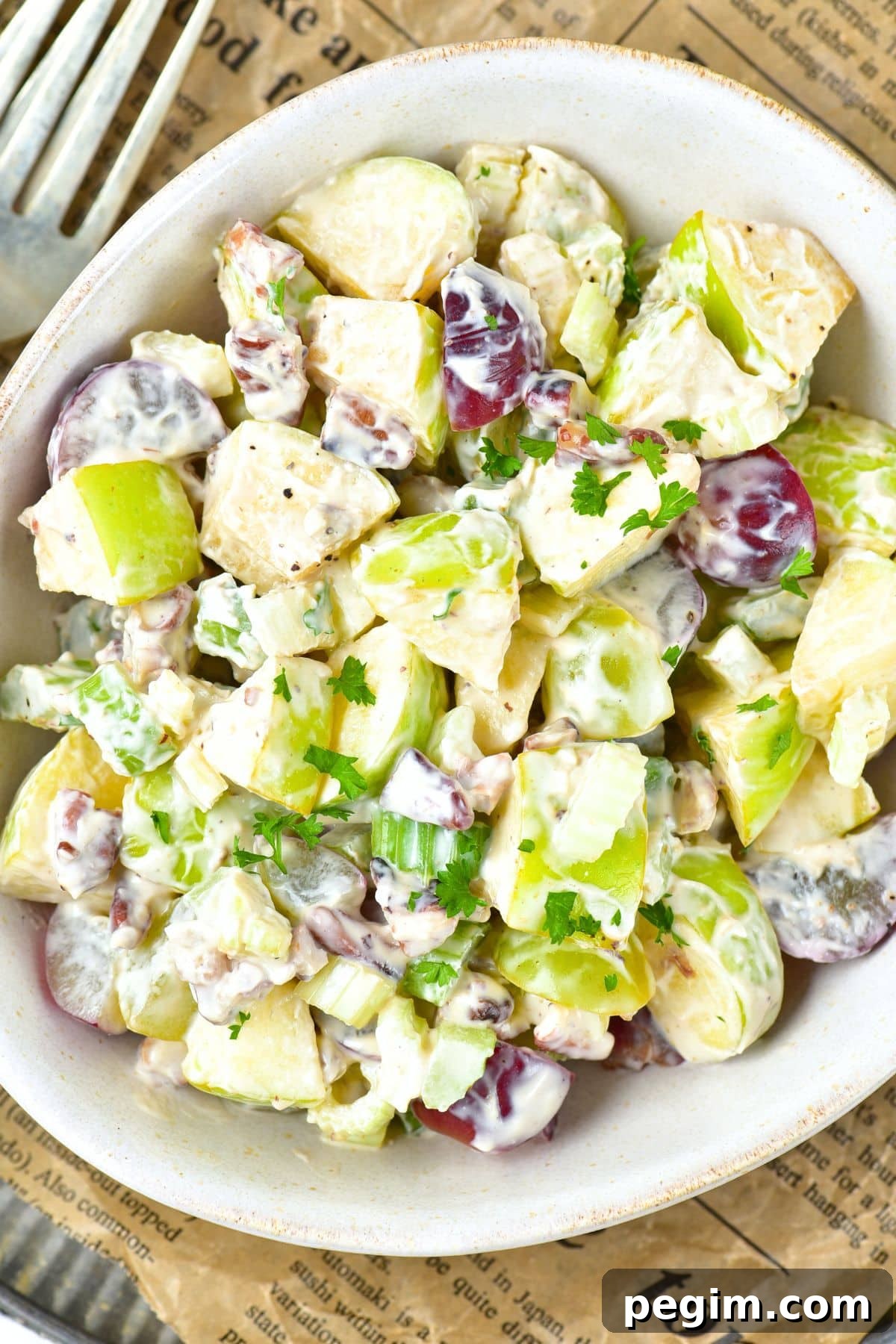 Top down view of a bowl of salad with grapes, chicken and celery