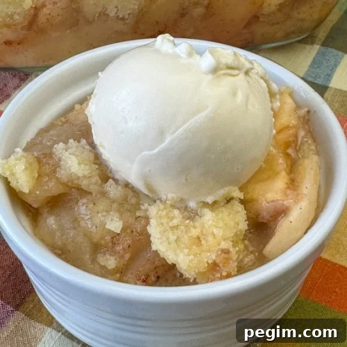 Close up dish of warm and delicious apple crisp with a simple crunchy topping being served with vanilla ice cream.