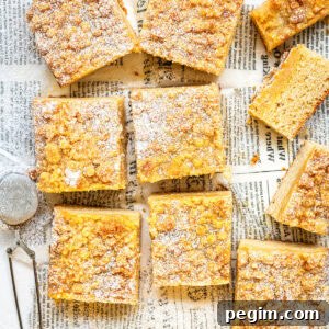Authentic German Streuselkuchen Recipe: Classic Crumb Cake Guide 10 Nine squares of German crumb cake, or streuselkuchen, topped with powdered sugar rest on newspaper print parchment; a tea strainer sits nearby, and one piece is partly eaten, revealing its soft, layered interior.