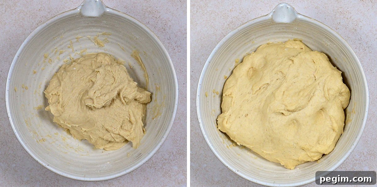 Authentic German Streuselkuchen Recipe: Classic Crumb Cake Guide 7 Side-by-side images of a bowl of dough: the left shows freshly mixed dough, while the right shows the dough after rising, appearing puffier and larger. Both bowls are on a light-colored surface.