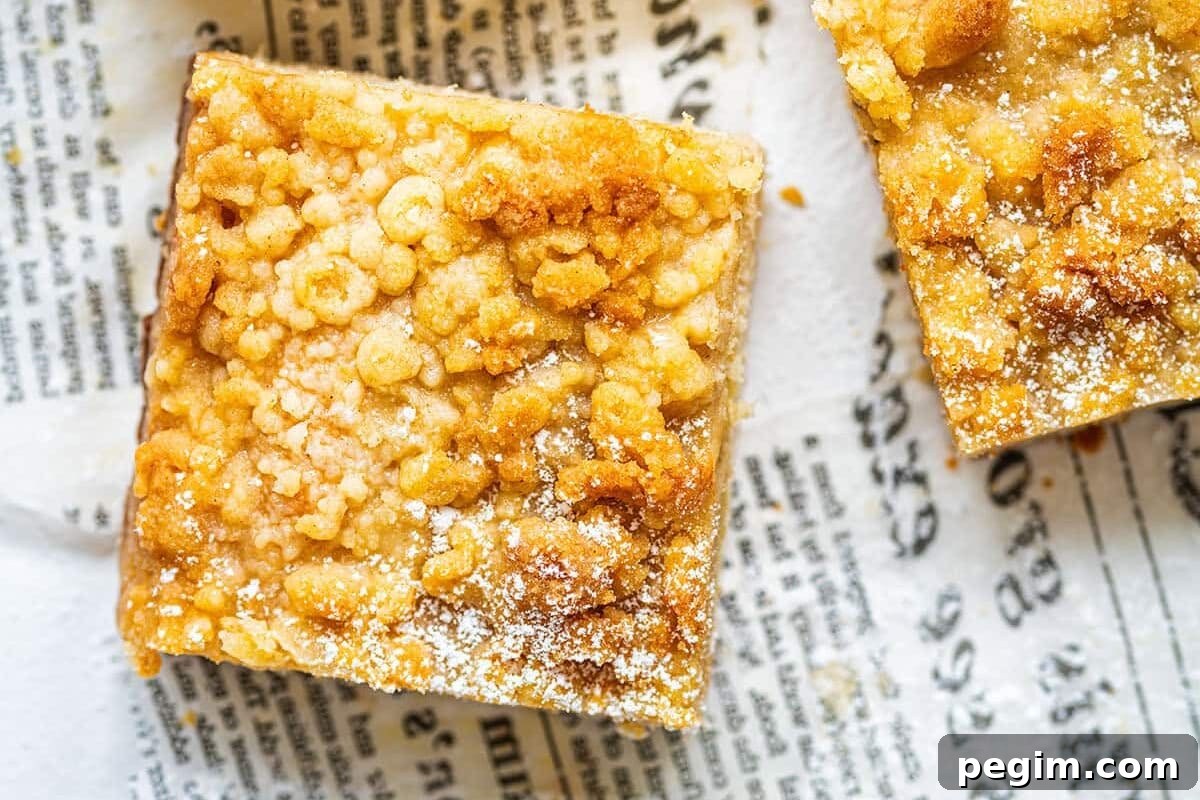 Authentic German Streuselkuchen Recipe: Classic Crumb Cake Guide 9 Four square pieces of crumbly cake with a golden, sugary topping sit on pieces of printed parchment paper, dusted lightly with powdered sugar on a white surface.