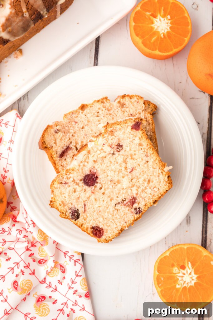 two slices of orange cranberry bread on white plate
