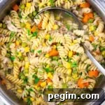 gluten free chicken noodle soup in a pot with a ladle