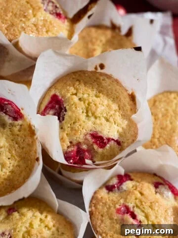 A pile of Sourdough Cranberry Orange Muffins on a tray.