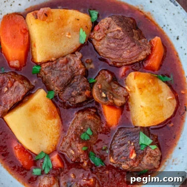 Square picture for beef stew without wine.