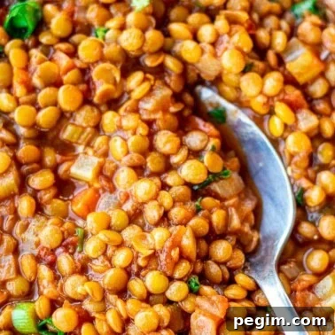 Spoon digging into a bowl of Lentil Stew.