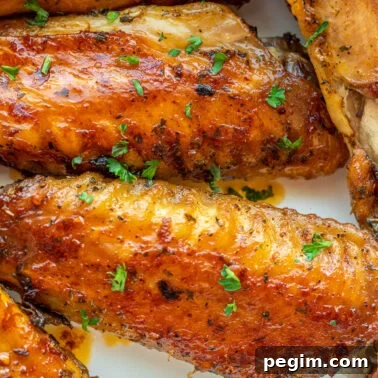 Square image of turkey wings.