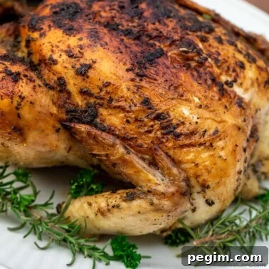 Square image of herb roasted chicken.