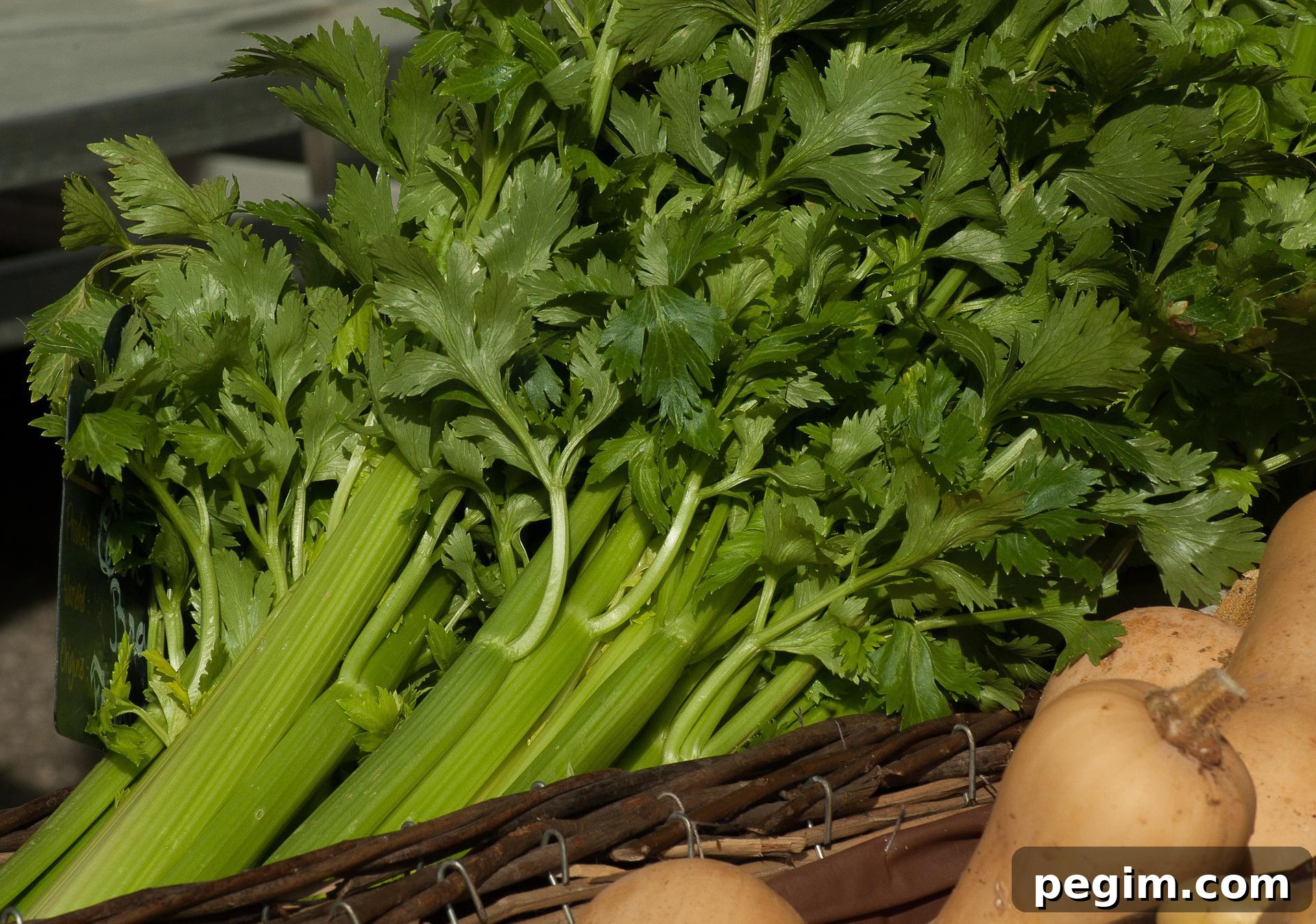 celery