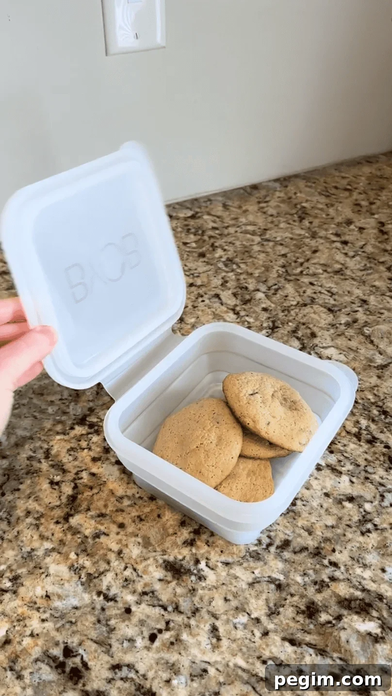 A collapsible silicone box from BYOB, filled with cookies inside.