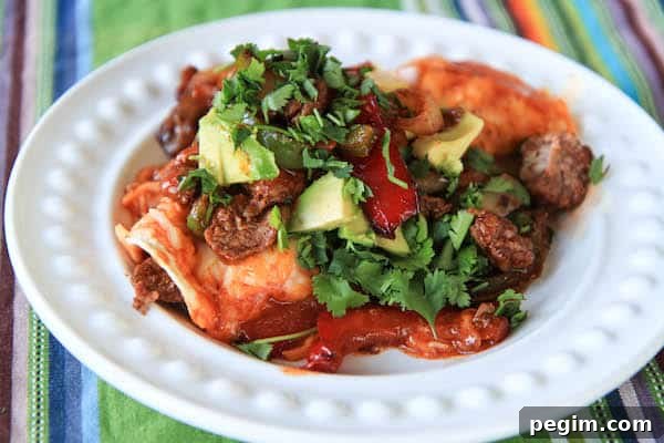 Steak Fajita Enchiladas
