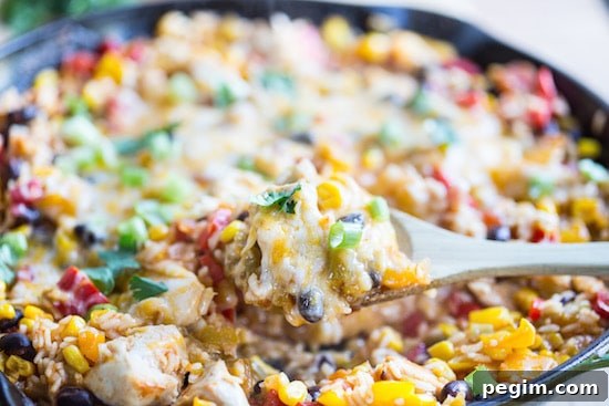 One Skillet Mexican Chicken and Rice