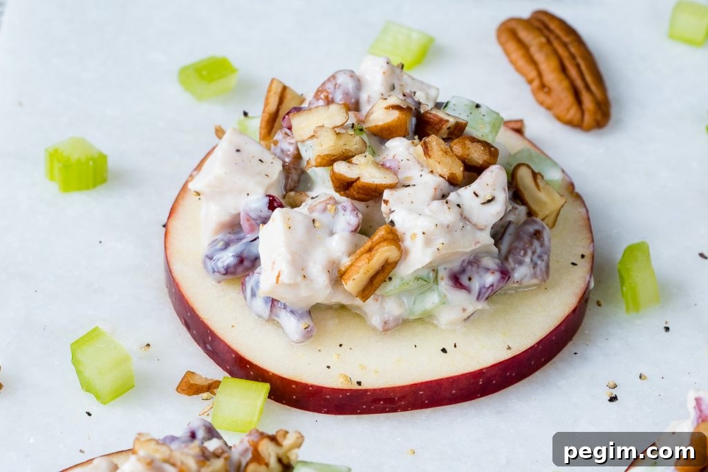 Cranberry Chicken Salad on Apple Slices