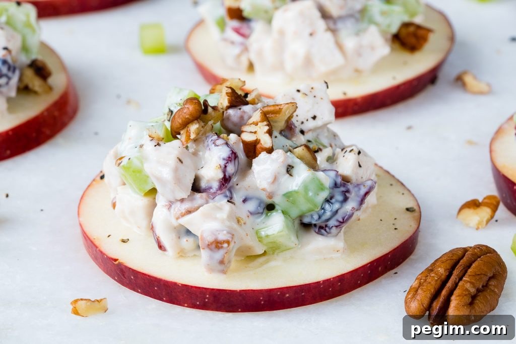 Fresh Cranberry Chicken Salad Apple Slices Salad