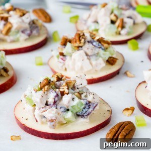 Healthy Cranberry Chicken Salad on Apple Slices.