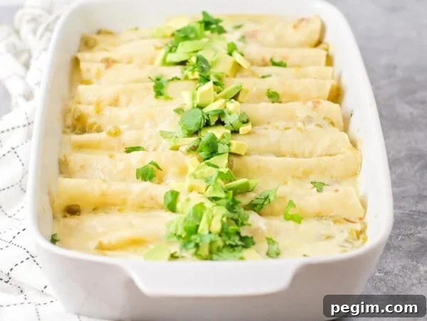 White chicken enchiladas in white casserole dish.