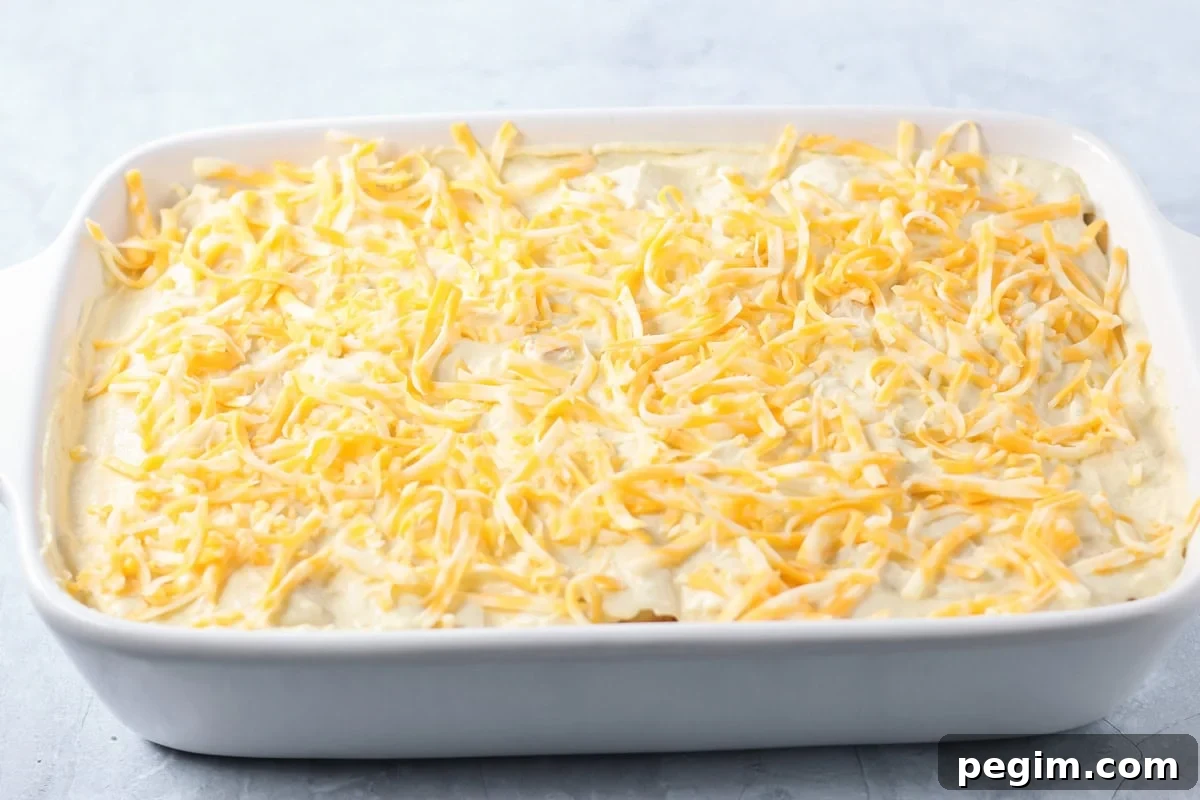 A baking dish of creamy chicken enchiladas topped with shredded cheese.