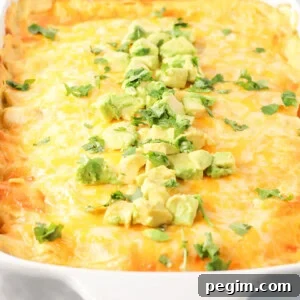 Casserole dish with creamy chicken enchiladas topped with diced avocado.
