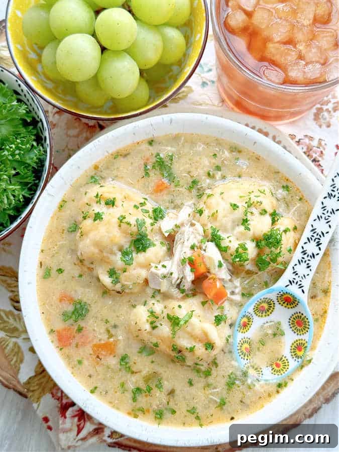 a bowl full of rotisserie chicken and dumplings pictured with a glass or iced tea and a bowl of green grapes