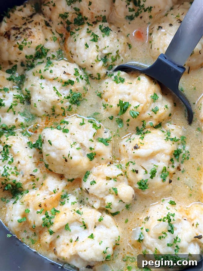 serving up a big spoonful of chicken and dumplings from the pot it was cooked in