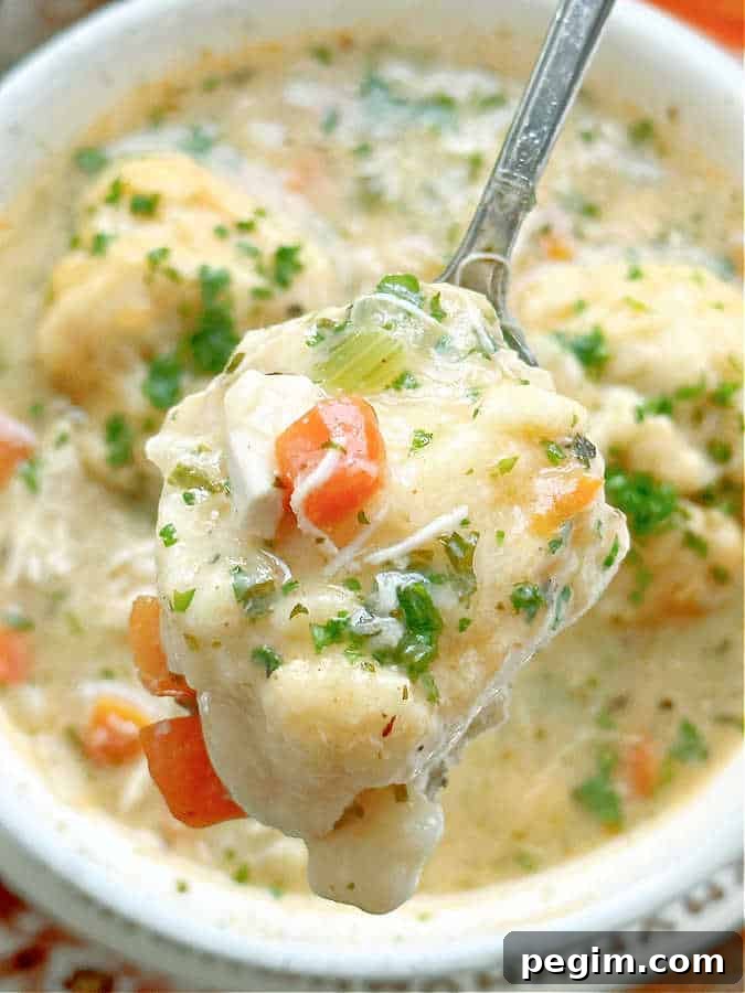 taking a bite from a bowl of chicken and dumplings