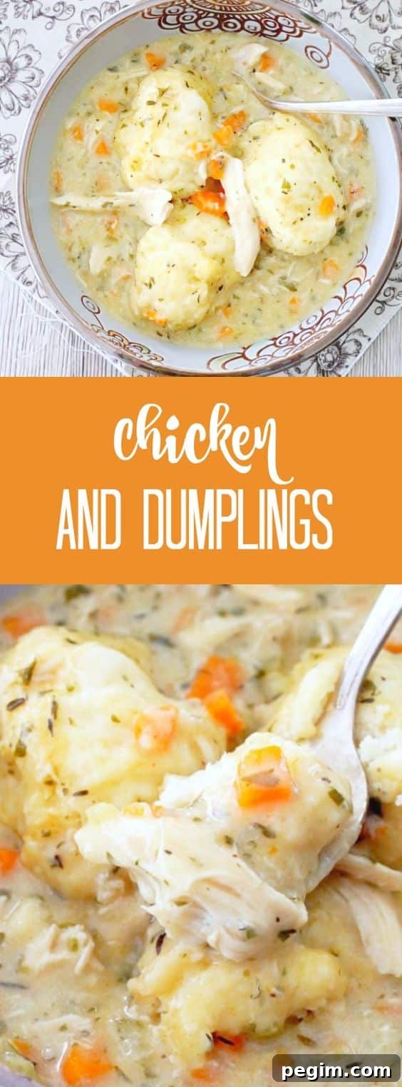 Simply Delicious Chicken and Dumplings | Foodtastic Mom
