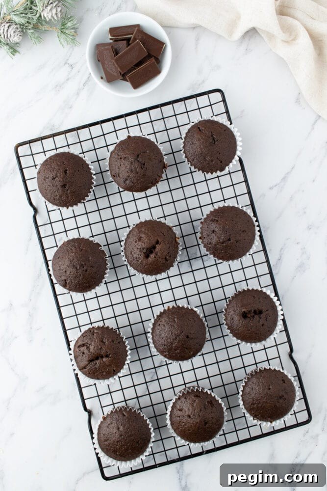 baked mint chocolate cupcakes on a cooling tray