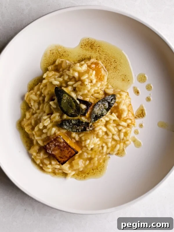 Butternut squash risotto on a plate