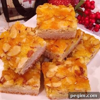 Apricot Bars on a Plate