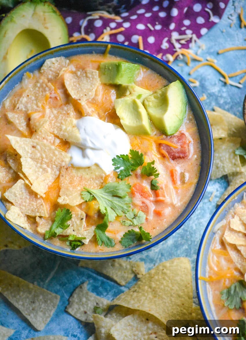 instant pot chicken tortilla soup in a blue bowl
