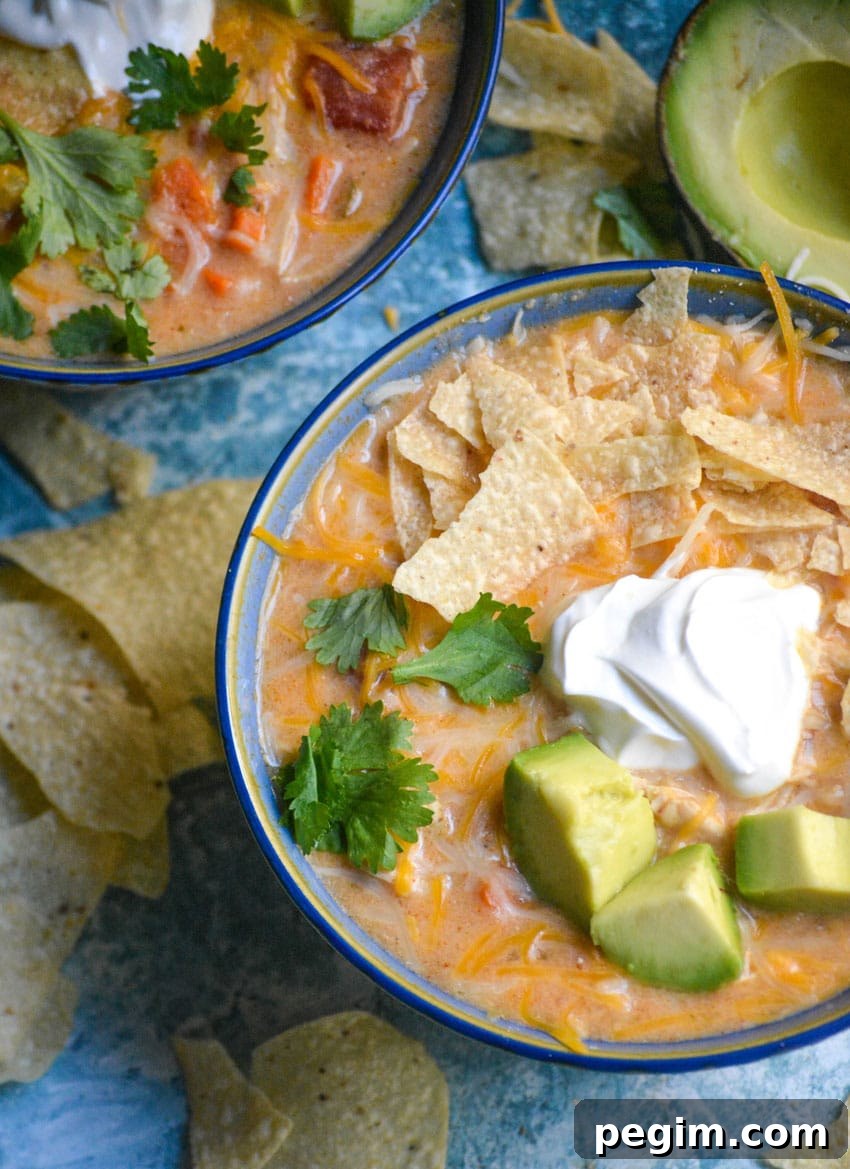 instant pot chicken tortilla soup in a blue bowl