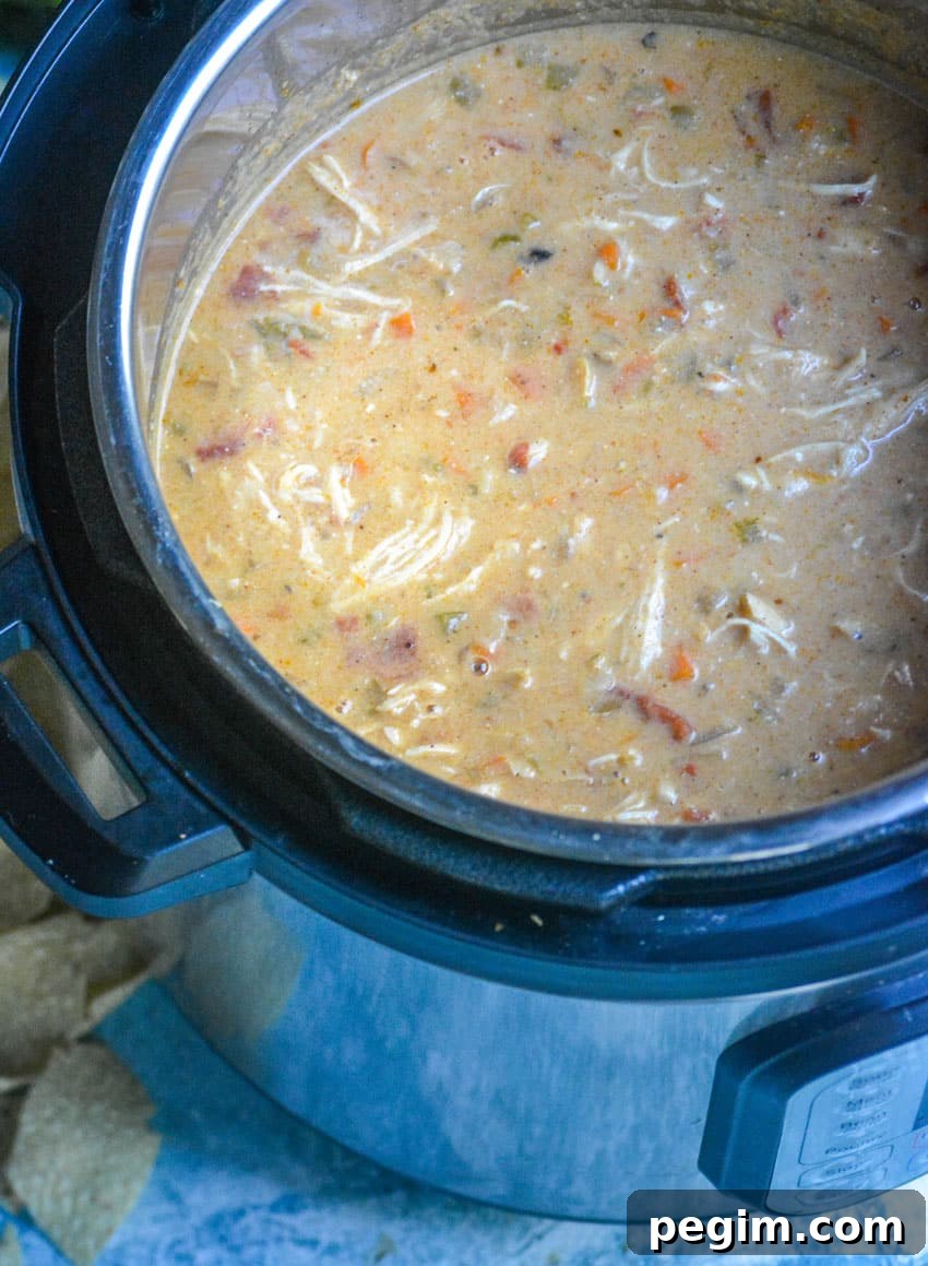 creamy chicken tortilla soup in an instant pot