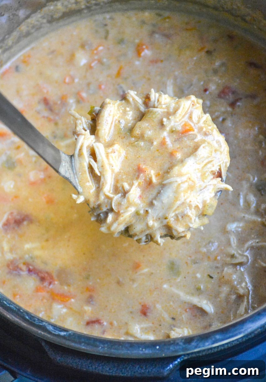 a silver ladle lifting up a scoop of creamy chicken tortilla soup from an instant pot